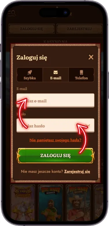WildRobin Casino formularz logowania