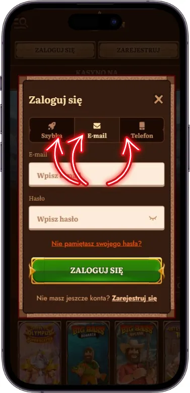 WildRobin Casino metody logowania