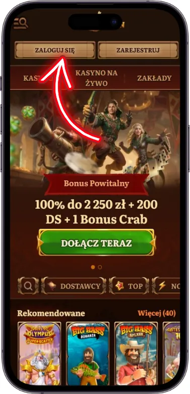 WildRobin Casino przycisk logowania